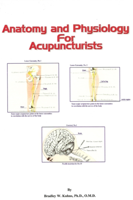Anatomy and Physiology For Acupuncturists (Made Easy)