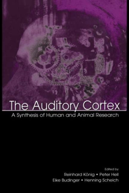 Auditory Cortex