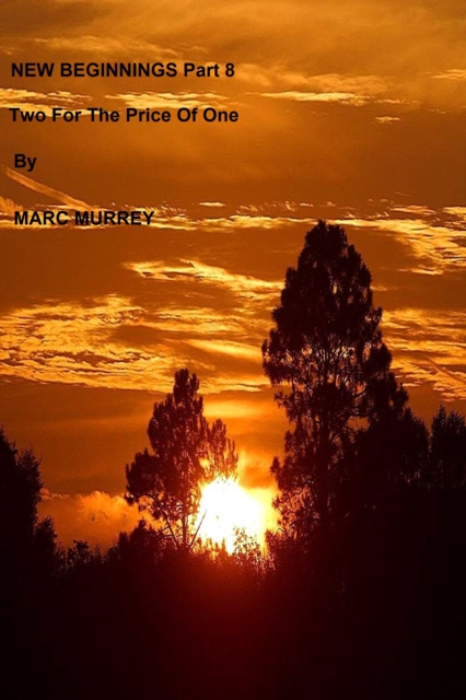 New Beginnings Part 8: Two For The Price Of One