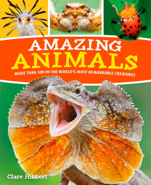 Amazing Animals