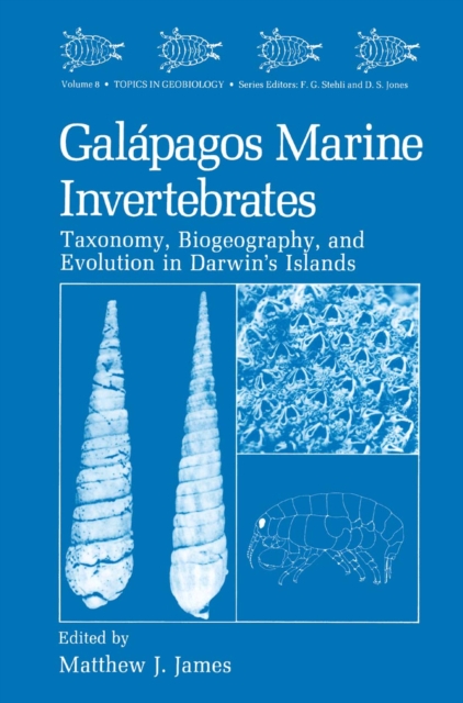 Galapagos Marine Invertebrates