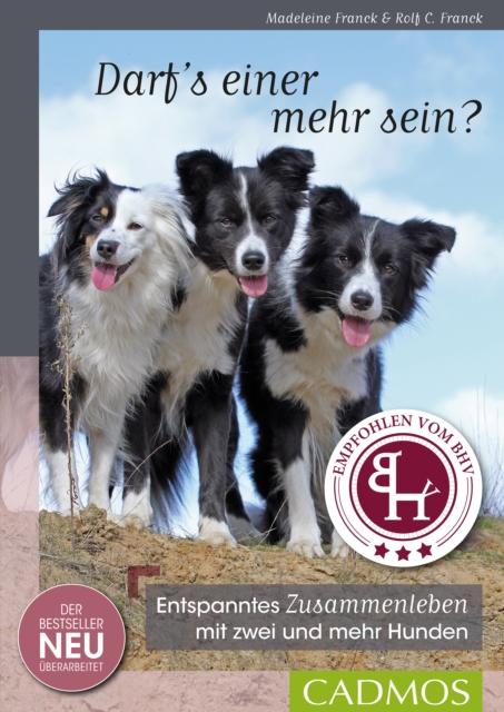 Androiden 1: Totenozean