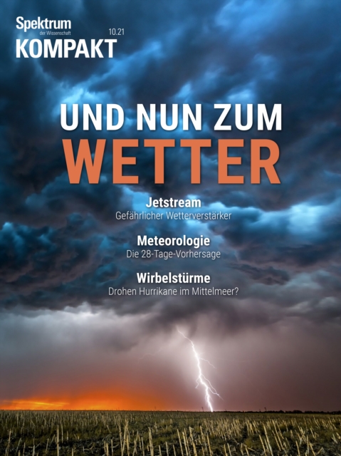 Gehirn&Geist 6/2021 Digitale Therapie