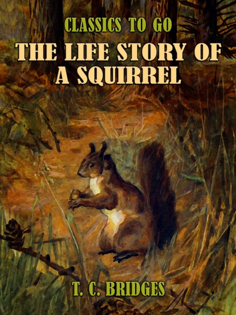 Life Story of A Squirrel