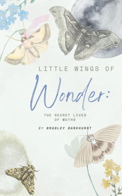 Little Wings of Wonder: The Secret Lives of Moths