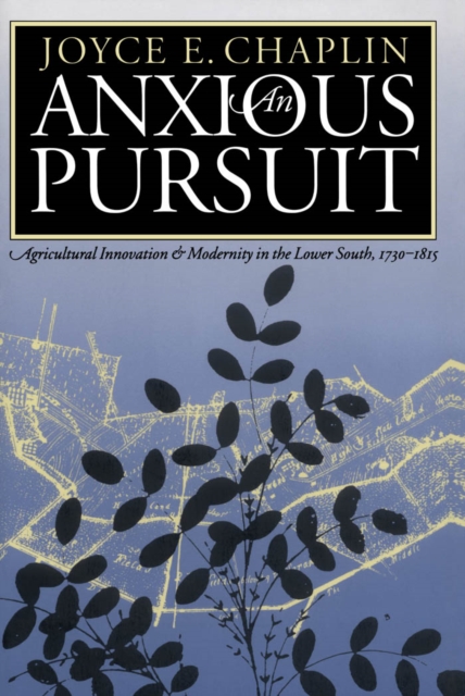 Anxious Pursuit