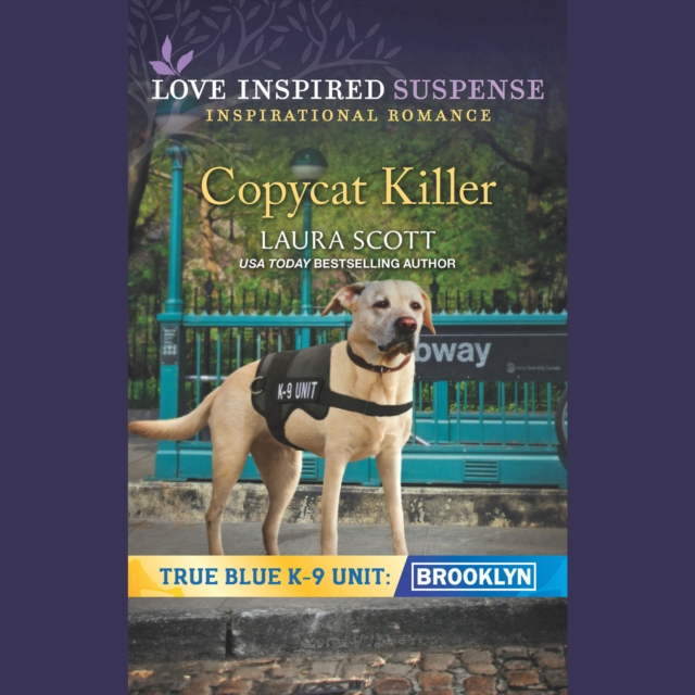 Copycat Killer