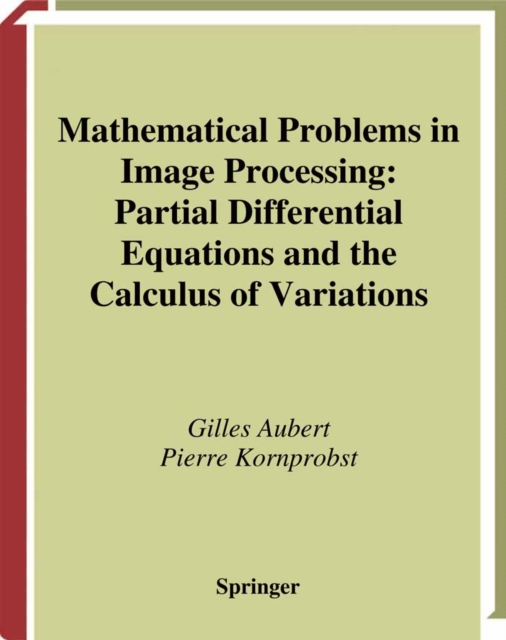 Mathematical Problems in Image Processing