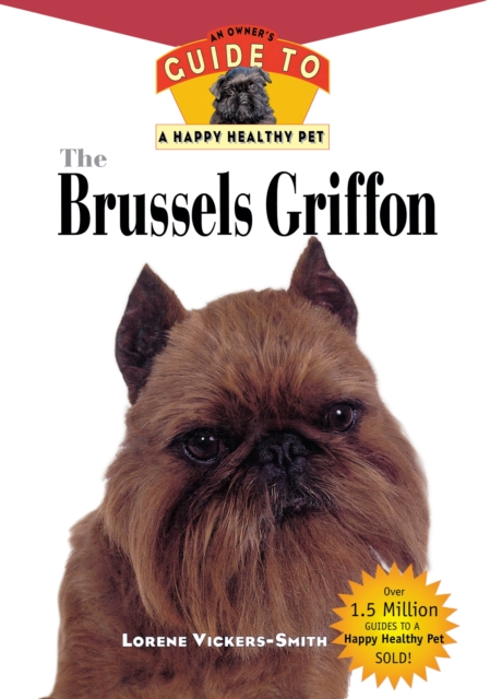 Brussels Griffon