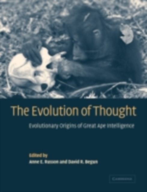 Evolution of Thought