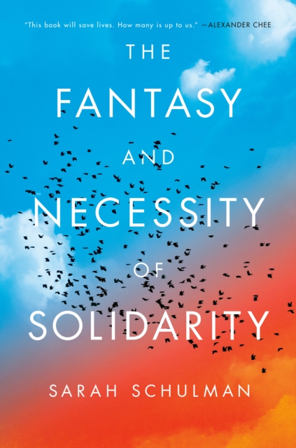 Fantasy and Necessity of Solidarity