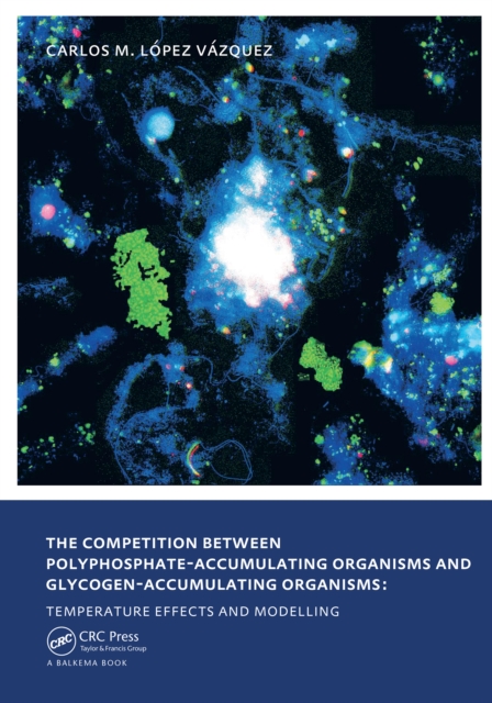 Competition between Polyphosphate-Accumulating Organisms and Glycogen-Accumulating Organisms: Temperature Effects and Modelling