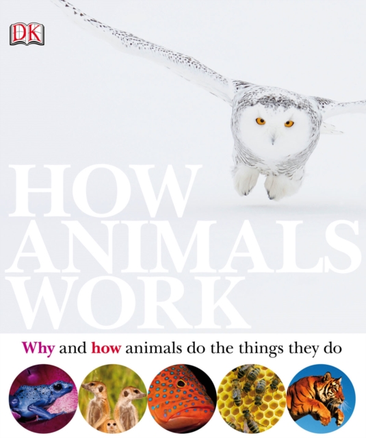 How Animals Work
