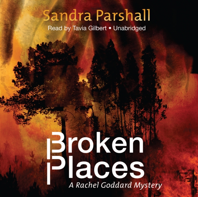 Broken Places
