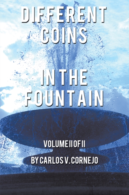 Different  Coins in the Fountain