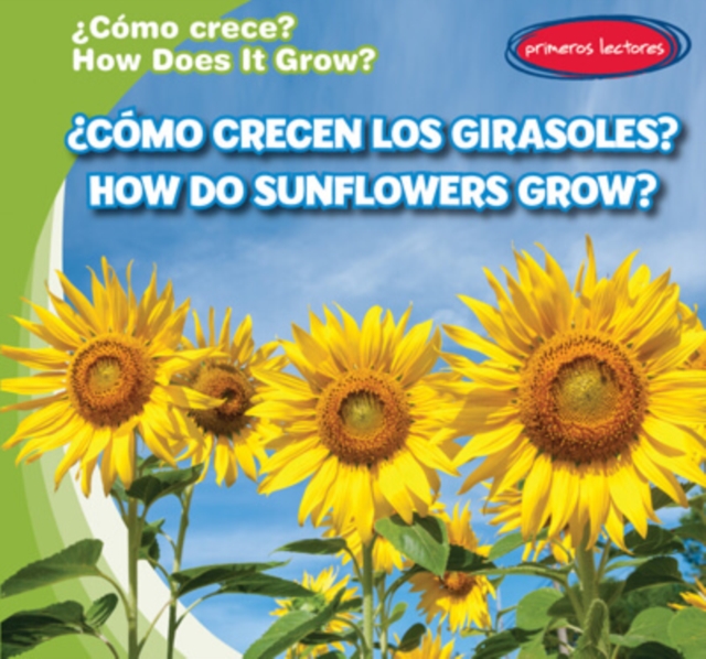 Como crecen los girasoles? / How Do Sunflowers Grow?