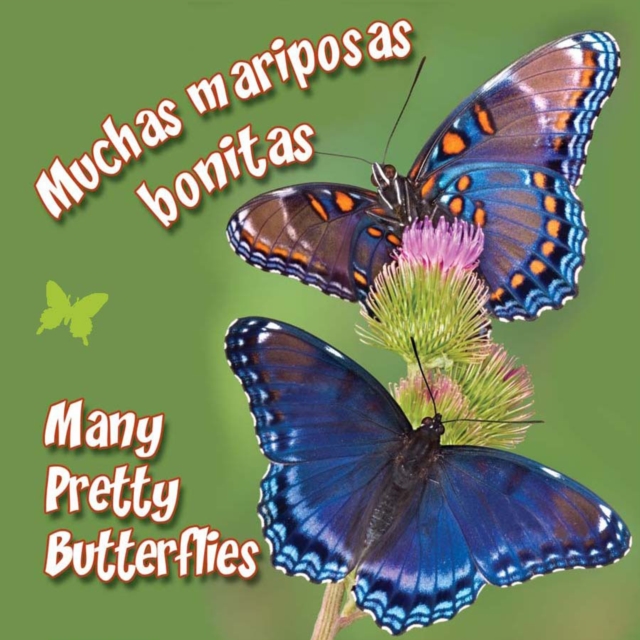 Muchas mariposas bonitas