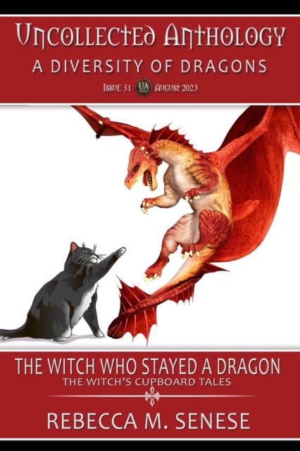 Witch Who Stayed a Dragon
