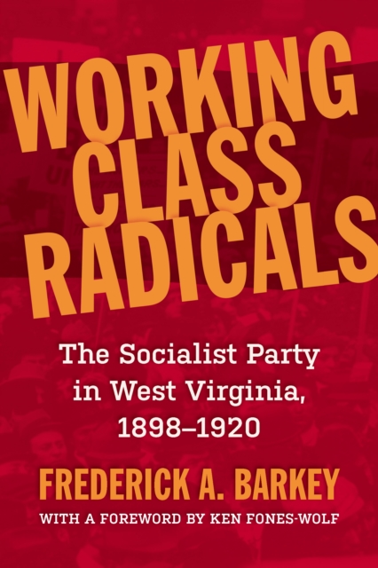 Working Class Radicals