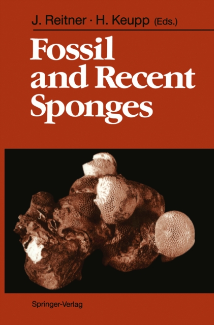 Fossil and Recent Sponges
