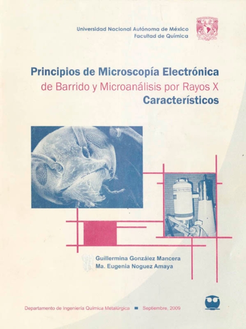 Principios de microscopia electronica de barrido y microanalisis por rayos X caracteristicos