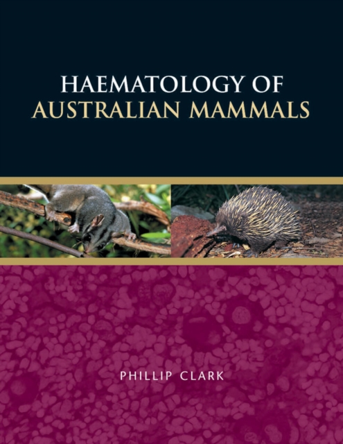 Hymenoptera: Evolution, Biodiversity and Biological Control