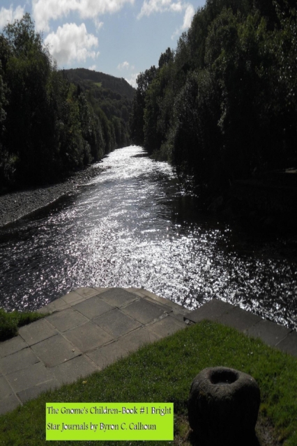 Gnome's Children-Book #1 Bright Star Journals