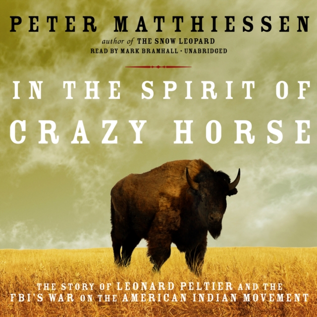 In the Spirit of Crazy Horse