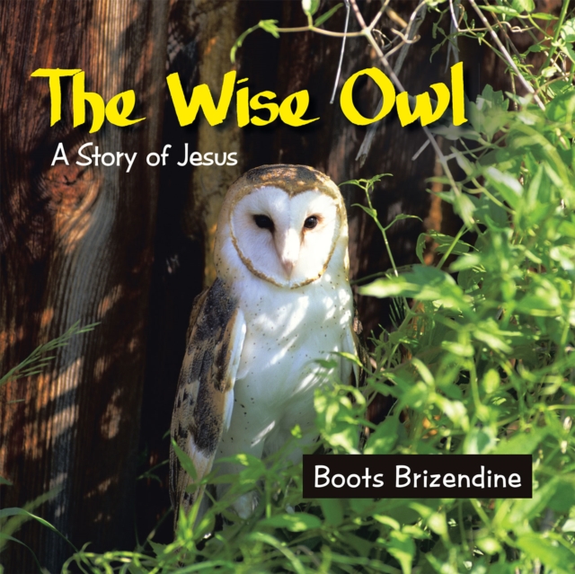 Wise Owl