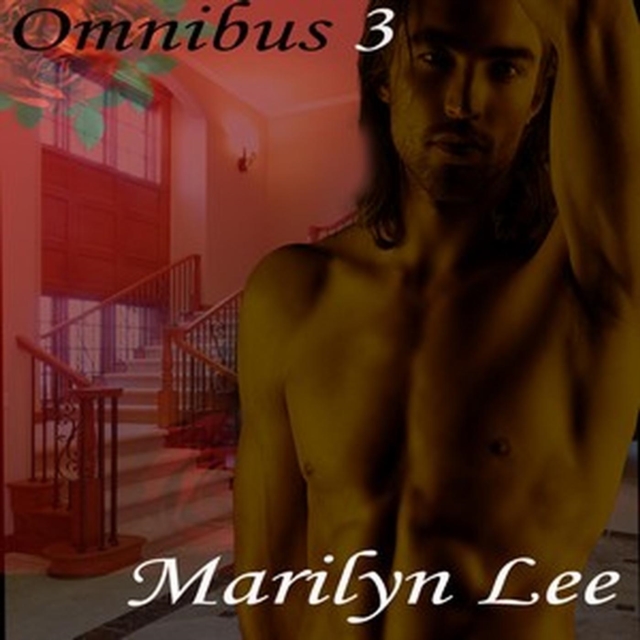 Omnibus 3