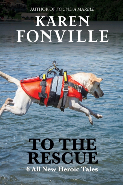 To The Rescue