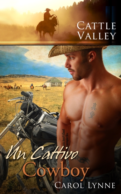 Un cattivo cowboy
