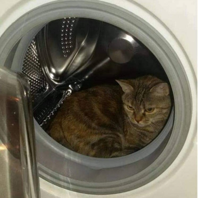 kleiner Gast im Tierparadies