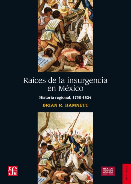 Raíces de la insurgencia en México