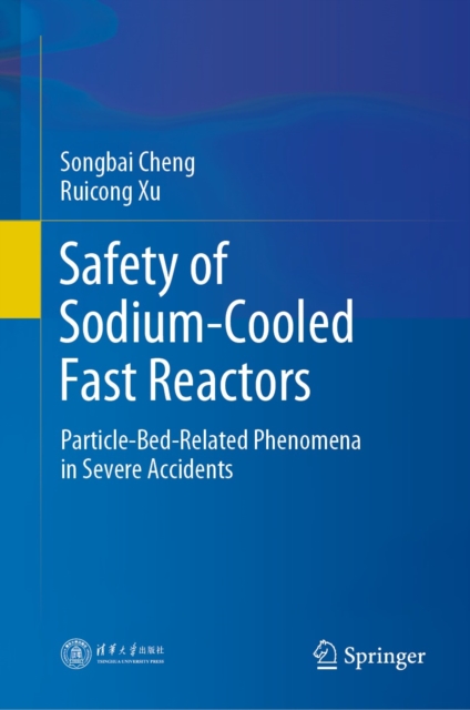 Safety of Sodium-Cooled Fast Reactors