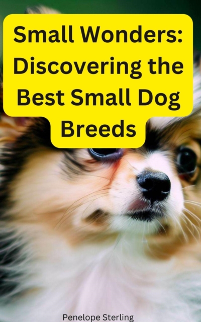 Small Wonders: Discovering the Best Small Dog Breeds