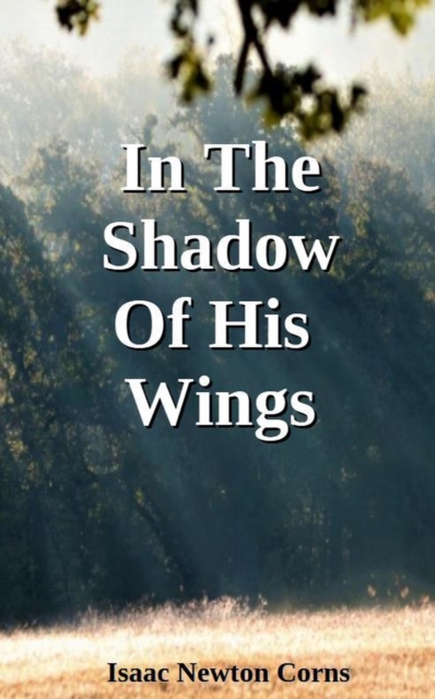 In The Shadow Of His Wings