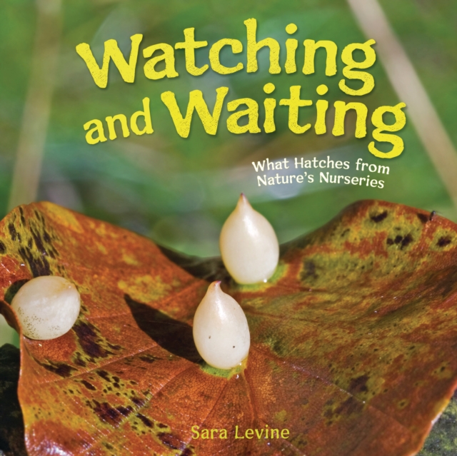 Watching and Waiting