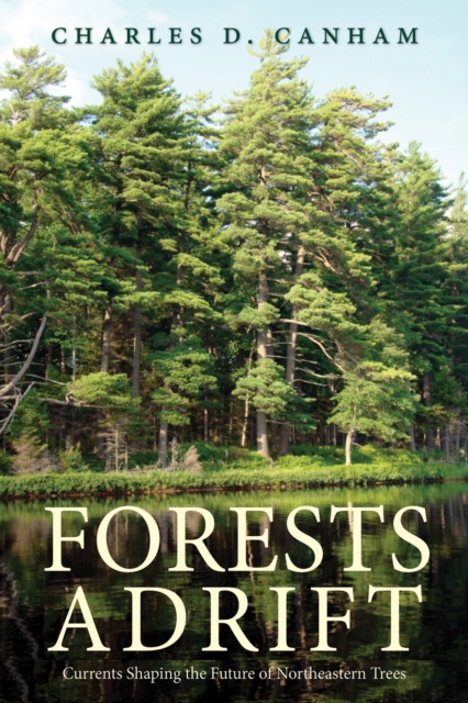 Forests Adrift