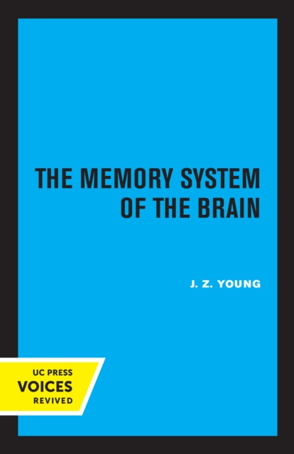 Memory System of the Brain