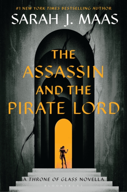 Assassin and the Pirate Lord