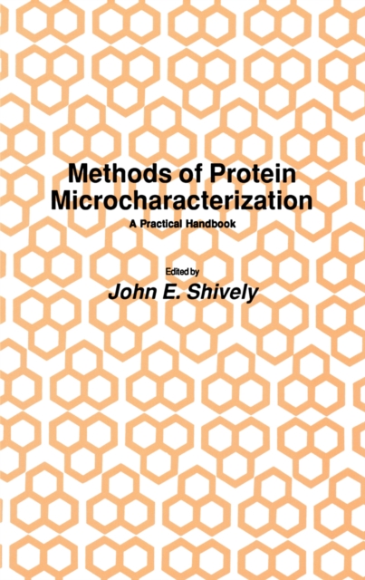 Methods of Protein Microcharacterization