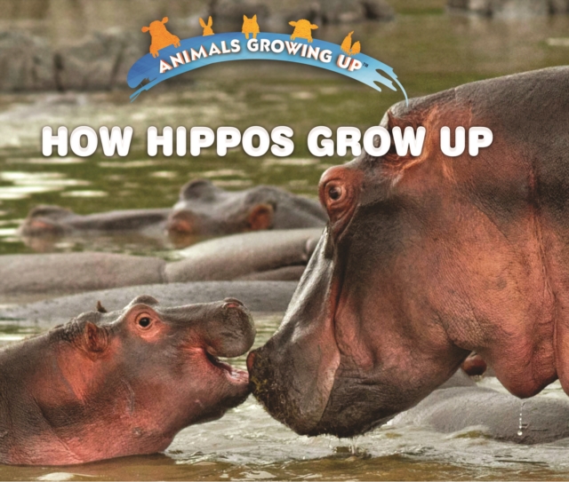 How Hippos Grow Up