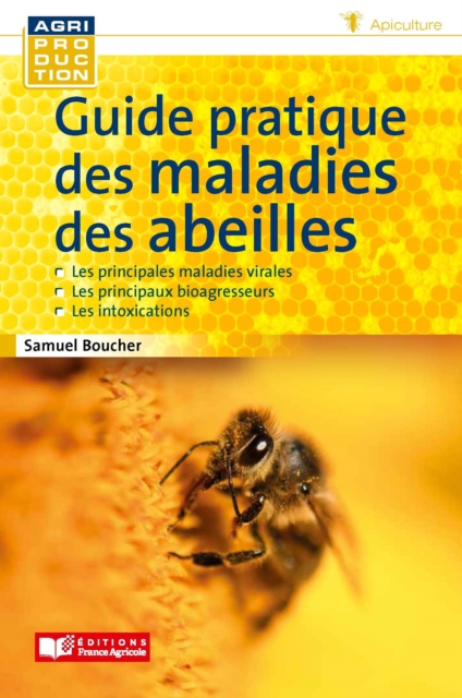Guide pratique des maladies des abeilles