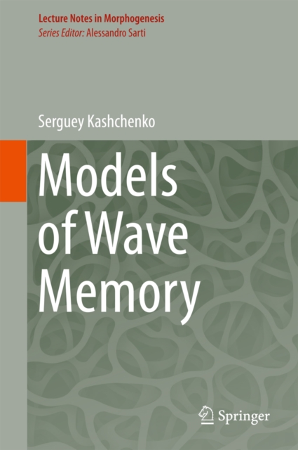 Models of Wave Memory
