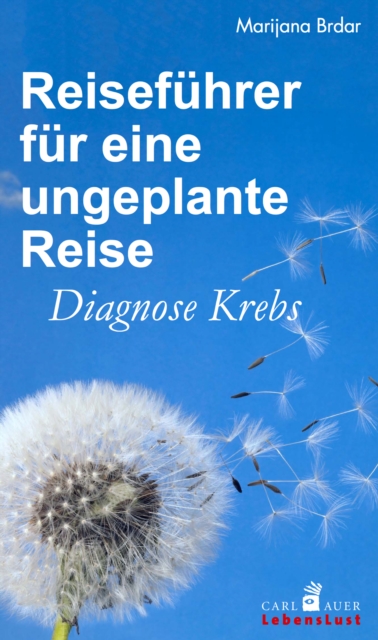 Reisefuhrer fur eine ungeplante Reise