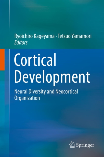 Cortical Development