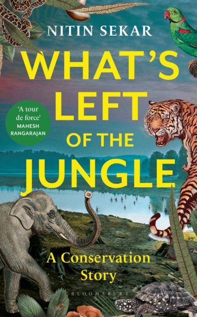 What's Left of the Jungle