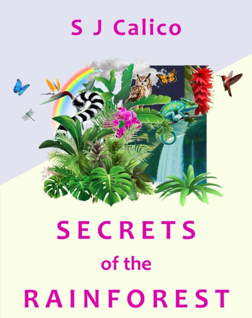 Secrets of the Rainforest