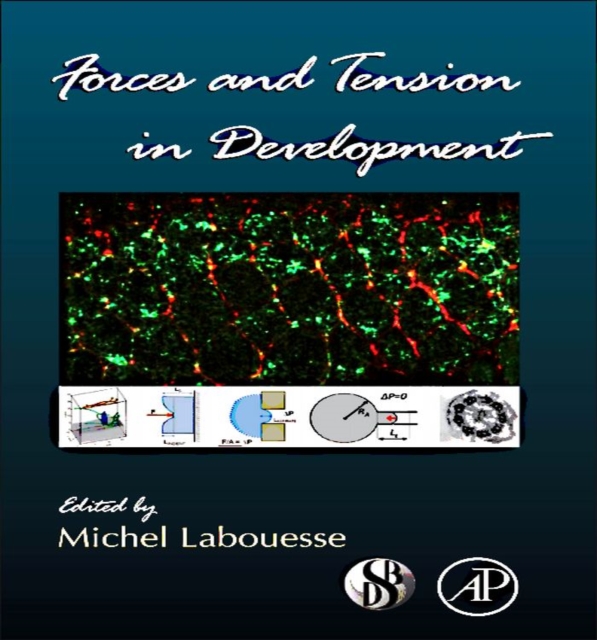 Forces and Tension in Development